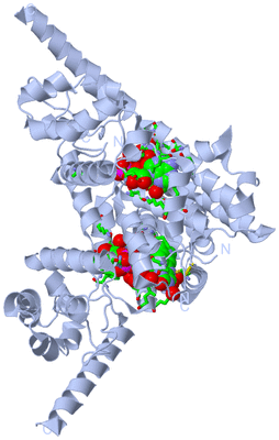 Image Biol. Unit 1 - sites