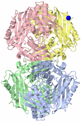 Image Asym./Biol. Unit