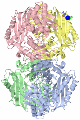 Image Asym./Biol. Unit - sites