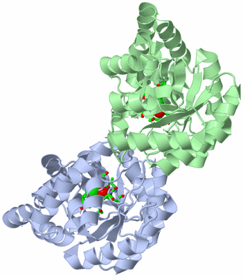 Image Asym./Biol. Unit - sites