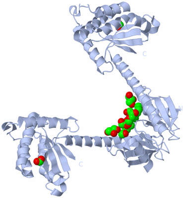 Image Biological Unit 1