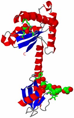 Image Asym. Unit - sites