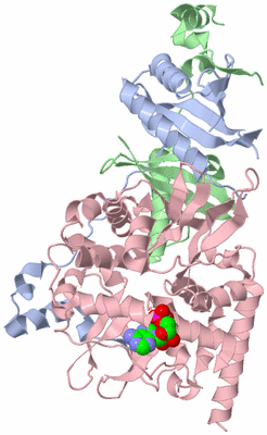 Image Asym./Biol. Unit