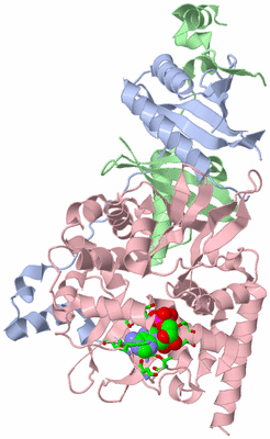 Image Asym./Biol. Unit - sites