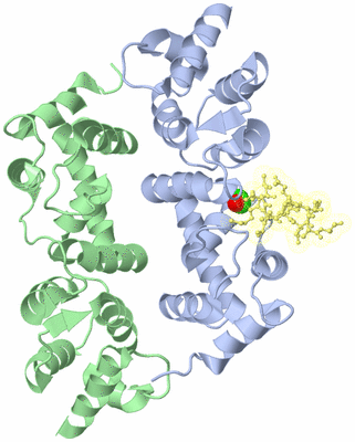 Image Biological Unit 1