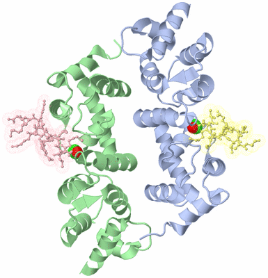 Image Biological Unit 3