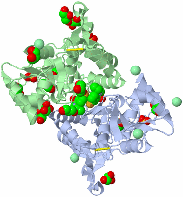 Image Asym./Biol. Unit