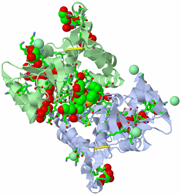 Image Asym./Biol. Unit - sites