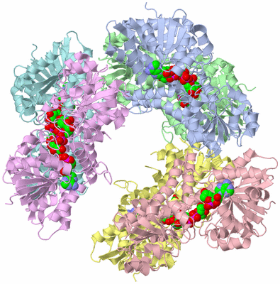 Image Biological Unit 1