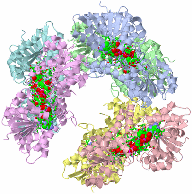 Image Biol. Unit 1 - sites