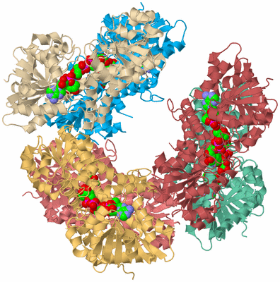 Image Biological Unit 2