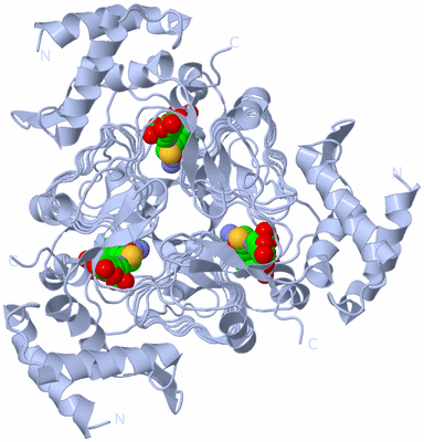 Image Biological Unit 1