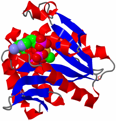 Image Asym./Biol. Unit