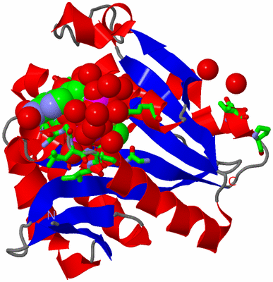 Image Asym./Biol. Unit - sites