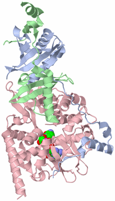 Image Asym./Biol. Unit