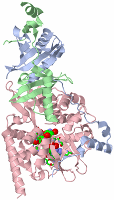 Image Asym./Biol. Unit - sites