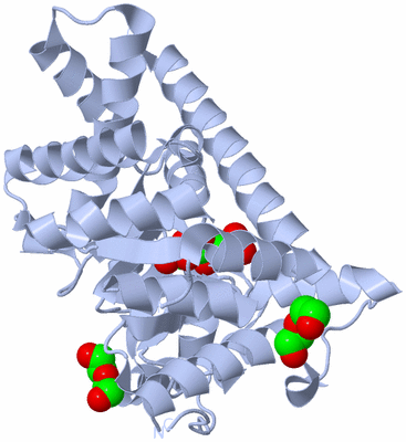 Image Biological Unit 1