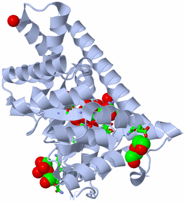 Image Biol. Unit 1 - sites