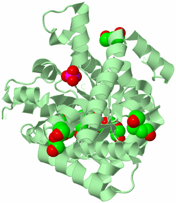 Image Biological Unit 2