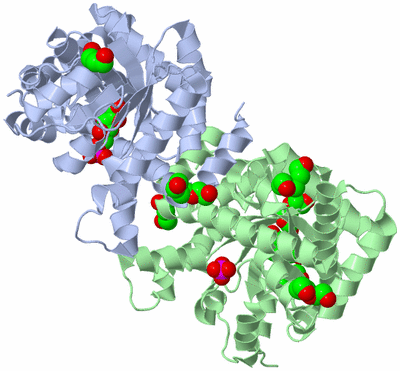 Image Biological Unit 3