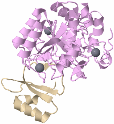 Image Asym./Biol. Unit