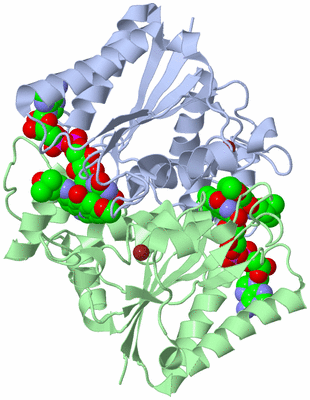 Image Asym./Biol. Unit