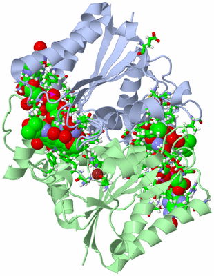 Image Asym./Biol. Unit - sites