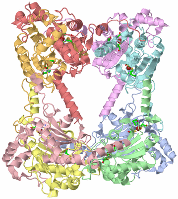 Image Asym./Biol. Unit - sites