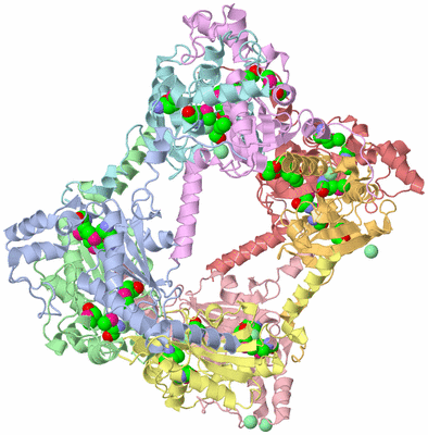 Image Biological Unit 1