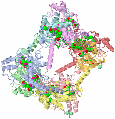 Image Biol. Unit 1 - sites