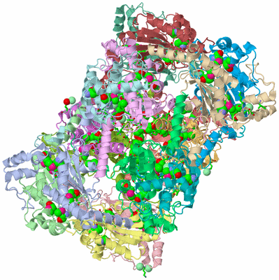 Image Asym. Unit - sites