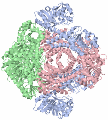 Image Biological Unit 1