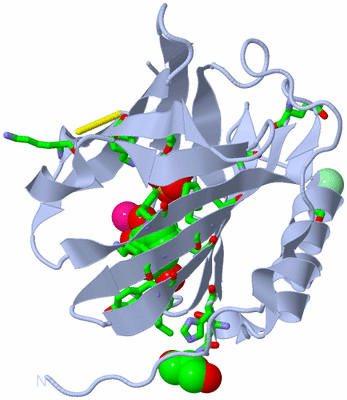 Image Biol. Unit 1 - sites