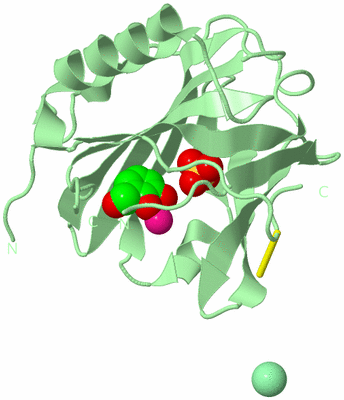 Image Biological Unit 2