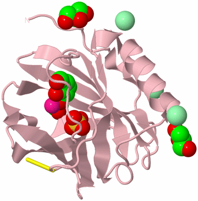 Image Biological Unit 3