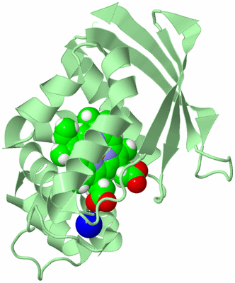 Image Biological Unit 2