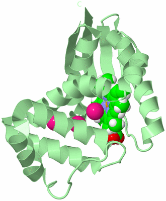 Image Biological Unit 2