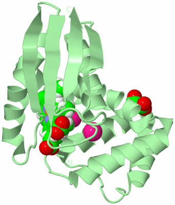 Image Biological Unit 2