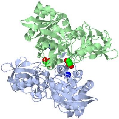 Image Asym./Biol. Unit