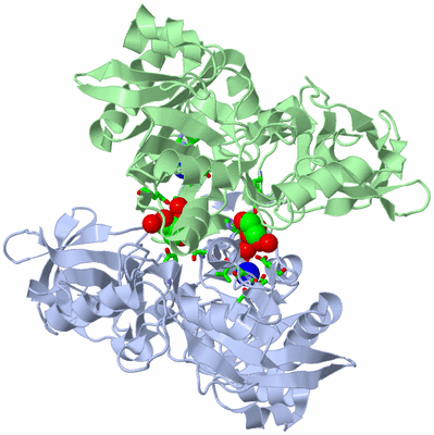 Image Asym./Biol. Unit - sites