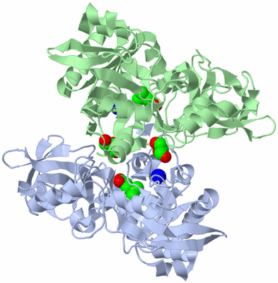 Image Asym./Biol. Unit