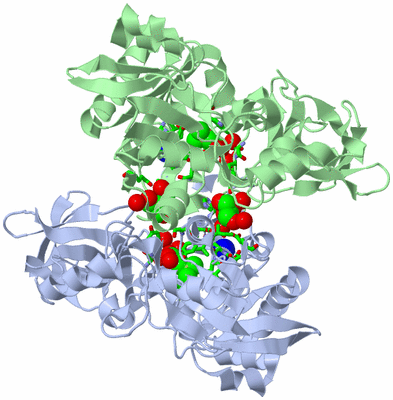 Image Asym./Biol. Unit - sites