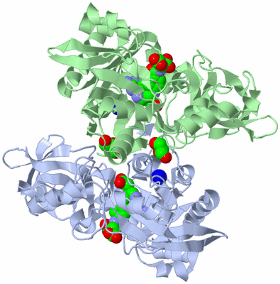 Image Asym./Biol. Unit