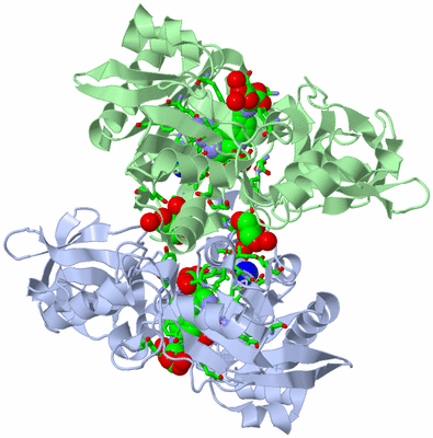 Image Asym./Biol. Unit - sites