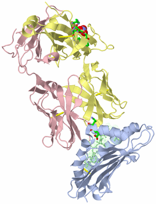 Image Biol. Unit 1 - sites