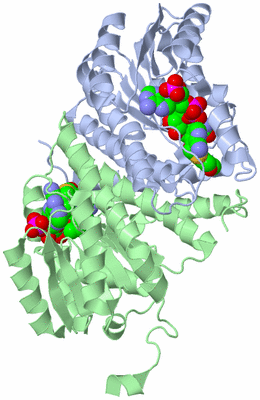 Image Biological Unit 1