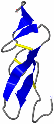 Image NMR Structure - model 1