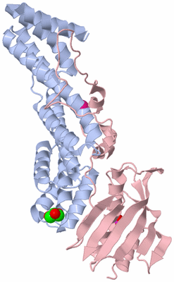 Image Biological Unit 1