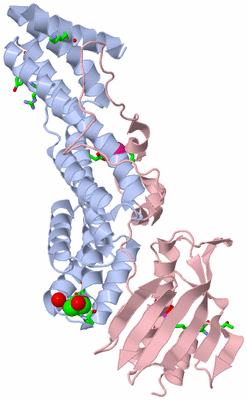 Image Biol. Unit 1 - sites