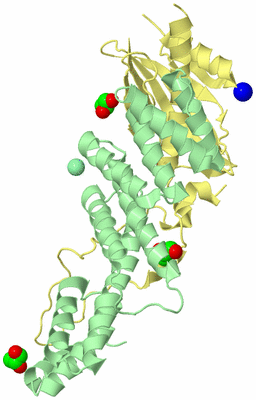 Image Biological Unit 2